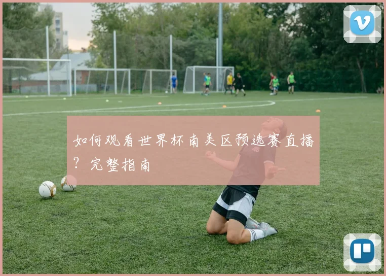 如何观看世界杯南美区预选赛直播?完整指南